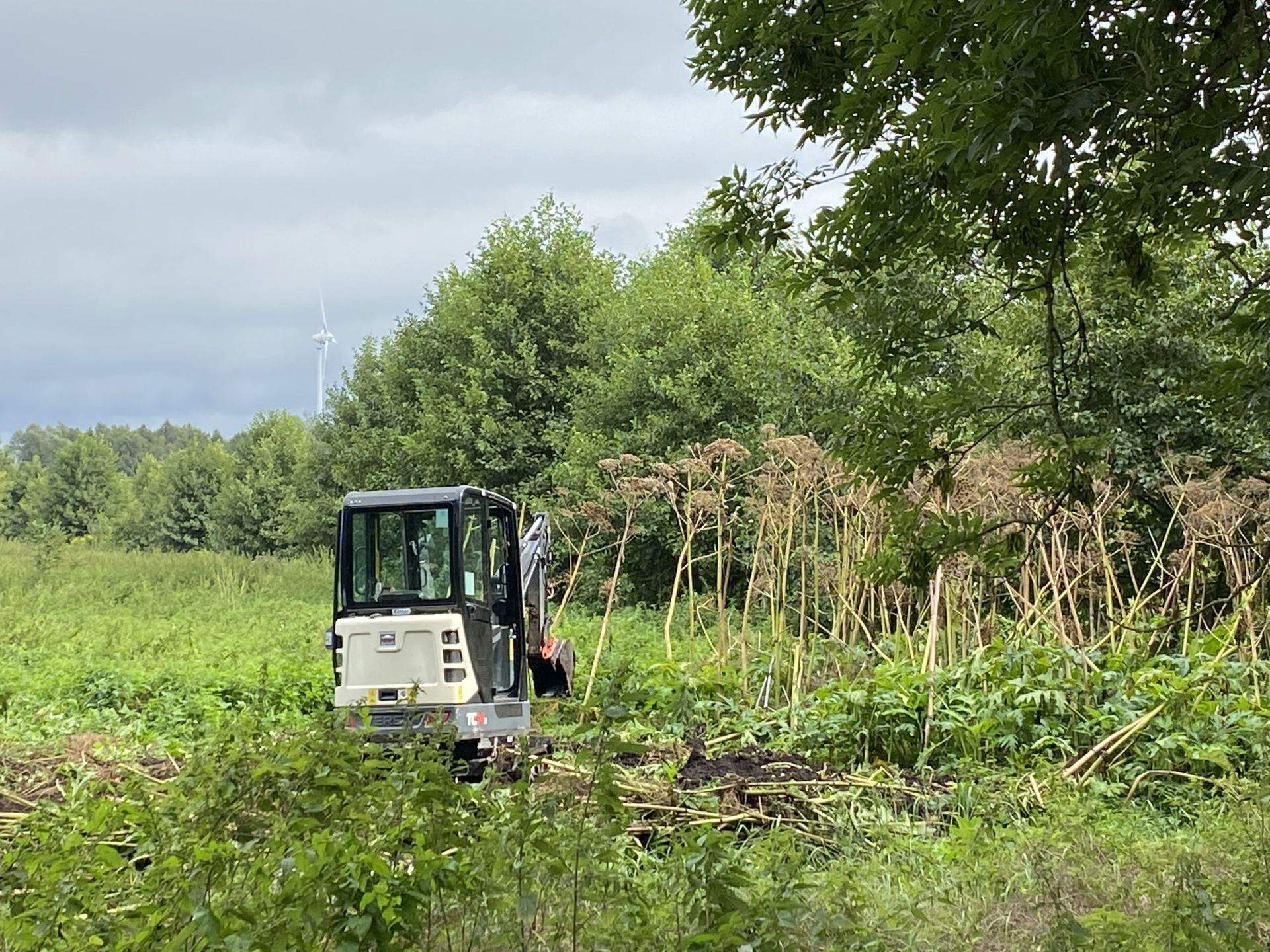Neophytenbekämpfung Elbepark Galabau im Einsatz